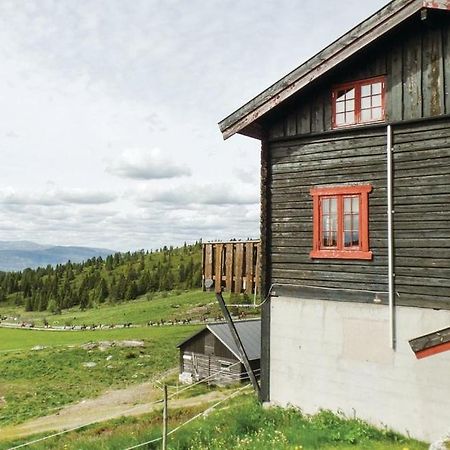 Sulseter Fjellstugu Apartman Vinstra Kültér fotó