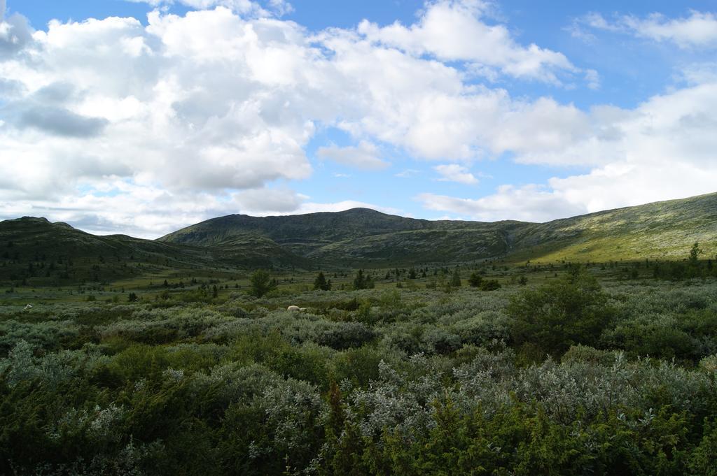 Sulseter Fjellstugu Apartman Vinstra Kültér fotó
