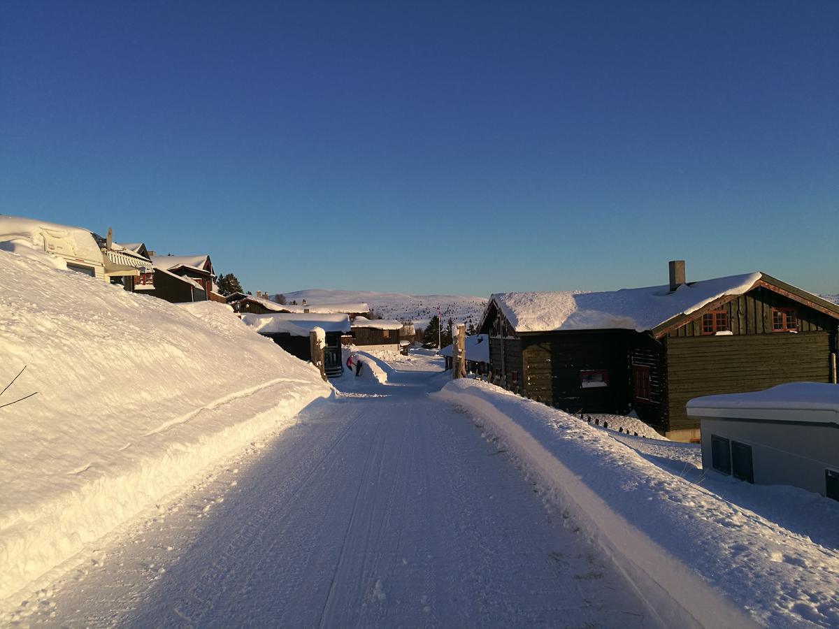 Sulseter Fjellstugu Apartman Vinstra Kültér fotó
