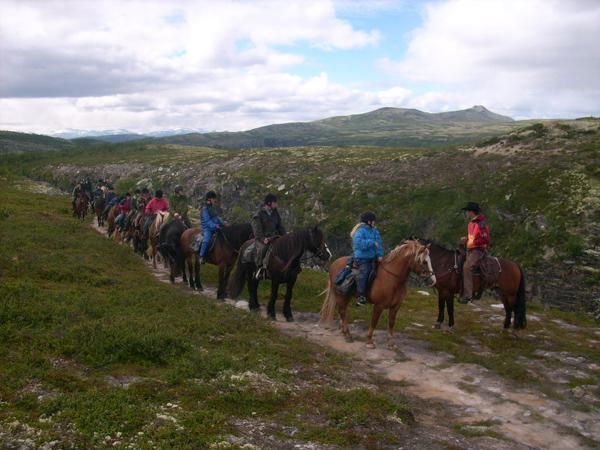 Sulseter Fjellstugu Apartman Vinstra Kültér fotó