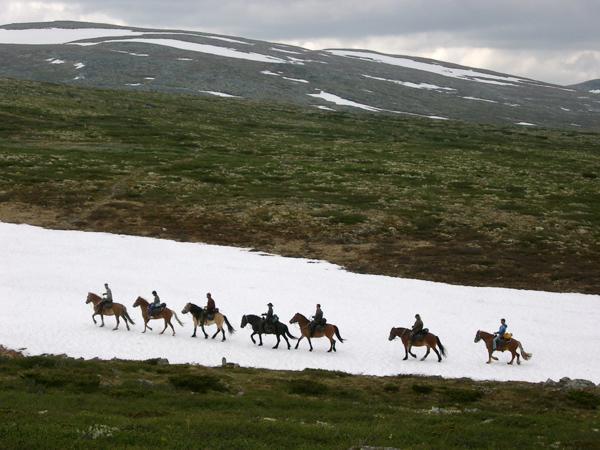 Sulseter Fjellstugu Apartman Vinstra Kültér fotó
